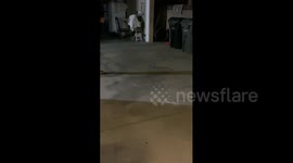 Baby Scared of Fireworks