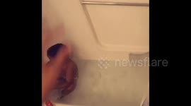 Bob Doesn't Like Bath Bomb