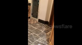 Girl Fooled By Poop Prank
