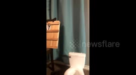 Boy Grossed Out By Poop