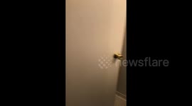 Girl Talks While Pooping