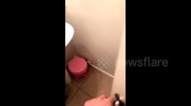 Girl Needs Pooping Privacy