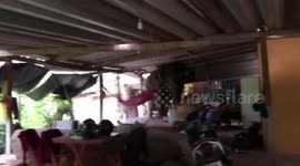 Wild elephant wanders into family's kitchen looking for food