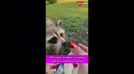 Mississippi Woman Becomes Best Friends with Roxie the Raccoon