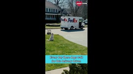 Golden Doodles Adorable Interaction with FedEx Driver