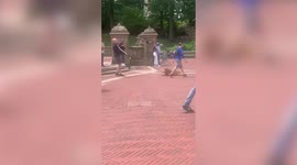 Dog refuses to walk forcing owner to DRAG it across floor in NYC's Central Park