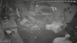 Smash and grab! Hungry elephant breaks into kitchen in southern India looking for food