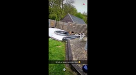 '10 months old German Shepherd ripping a trampoline to shreds '