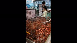 Crayfish Trade In Yichang, Hubei, China