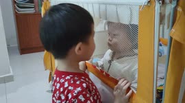 Sweet moment of a toddler kisses his baby sister