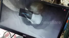 Child rescued after spending 8 hours trapped down narrow borewell in central India