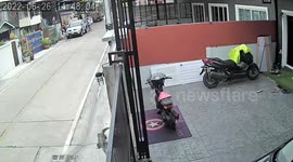 Brave pet French bulldog chases monitor lizard away as it enters home