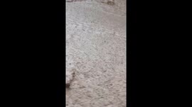 Locals try to prevent flash floods from entering their homes