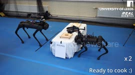 Pair of robot dogs work together to cook burger