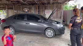 Reptile catcher removes tree snake from family's Toyota car