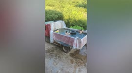 Father turns truck into makeshift swimming pool for his children in China