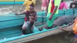 Angry villagers pull missing neighbour's body from giant crocodile's stomach in Indonesia
