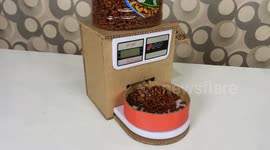 DIY master builds food dispenser for pets fitted with electronic scales
