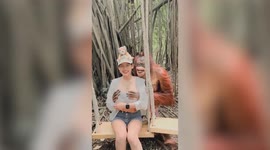 Cheeky orangutan grabs woman's boobs at zoo in Thailand