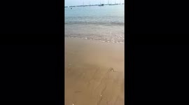 Algarve beach