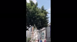 Mexico: Several Injured After Explosion In Historic Center Of Mexico City