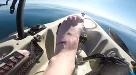 'That really hurt!' US angler in pain after mantis shrimp PUNCHES his foot