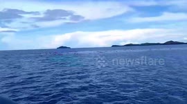 Passengers jump off to sea to escape horror ship fire in the Philippines