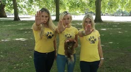 Members Of The K9 Angels Charitey Issue A Warning Not To Leave Dogs In Hot Cars. The Campaign Seeks To Raise Awareness Of The Issue