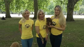 S Club 7 Jo O'Meara joins the K-9 Angels as their 3rd celebrity angel. The K-9 Angels is an all volunteer team helping abused & abandoned dogs world wide.