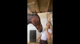 The horse tries to take the treat from owner's mouth