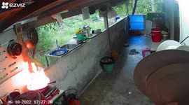 Frying pan bursts into flames when housewife turns her back for a moment in kitchen