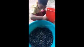 Seven-year-old boy catches hundreds of scorpions with his bare hands