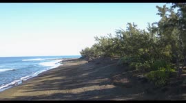 Sea level rise,threatened beach in indian ocean, in Reunion island