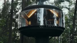 UFO-like treehouse appears in Finnish forest