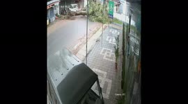 Unbe-leaf-able: Miraculous moment man survives after huge tree topples over right on him in southern India
