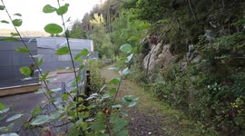 Approaching baby deer in Norway gets a suprise after smelling us.
