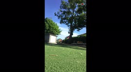 ''Bold enough, but not fast enough' BMX enthusiast botches a barspin 
'
