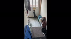 Purr-sonal delivery: UK cat always receives the mail like clockwork