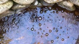 Bubbling Natural Spring