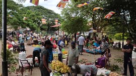 Worst Economic crisis in Sri Lanka results in record food price inflation