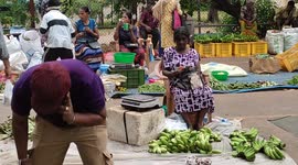 Worst Economic crisis in Sri Lanka results in record food price inflation