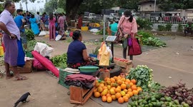 Worst Economic crisis in Sri Lanka results in record food price inflation