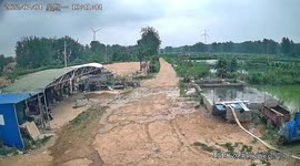 Large number of fish washed into field as pond collapses in China