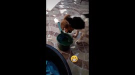 Shes fishing!? or drinking ? Its look like shes doing both.