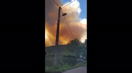 Wildfires break out in Gard, France burning more than 650 hectares