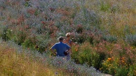 Blooming marvellous: visitors enjoy the 'Superbloom' planted for Queen's Platinum Jubilee in London