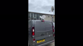 I was eating a sandwich and. A seagull was following me to try to grab it