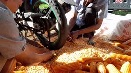 Indonesian farmer shelling corn with motorcycle tires