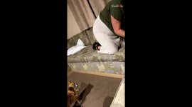 Hilarious moment British woman flees in terror from friend's tiny dog