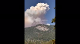 Washburn fire continues in Yosemite National Park burning more than 2,300 acres